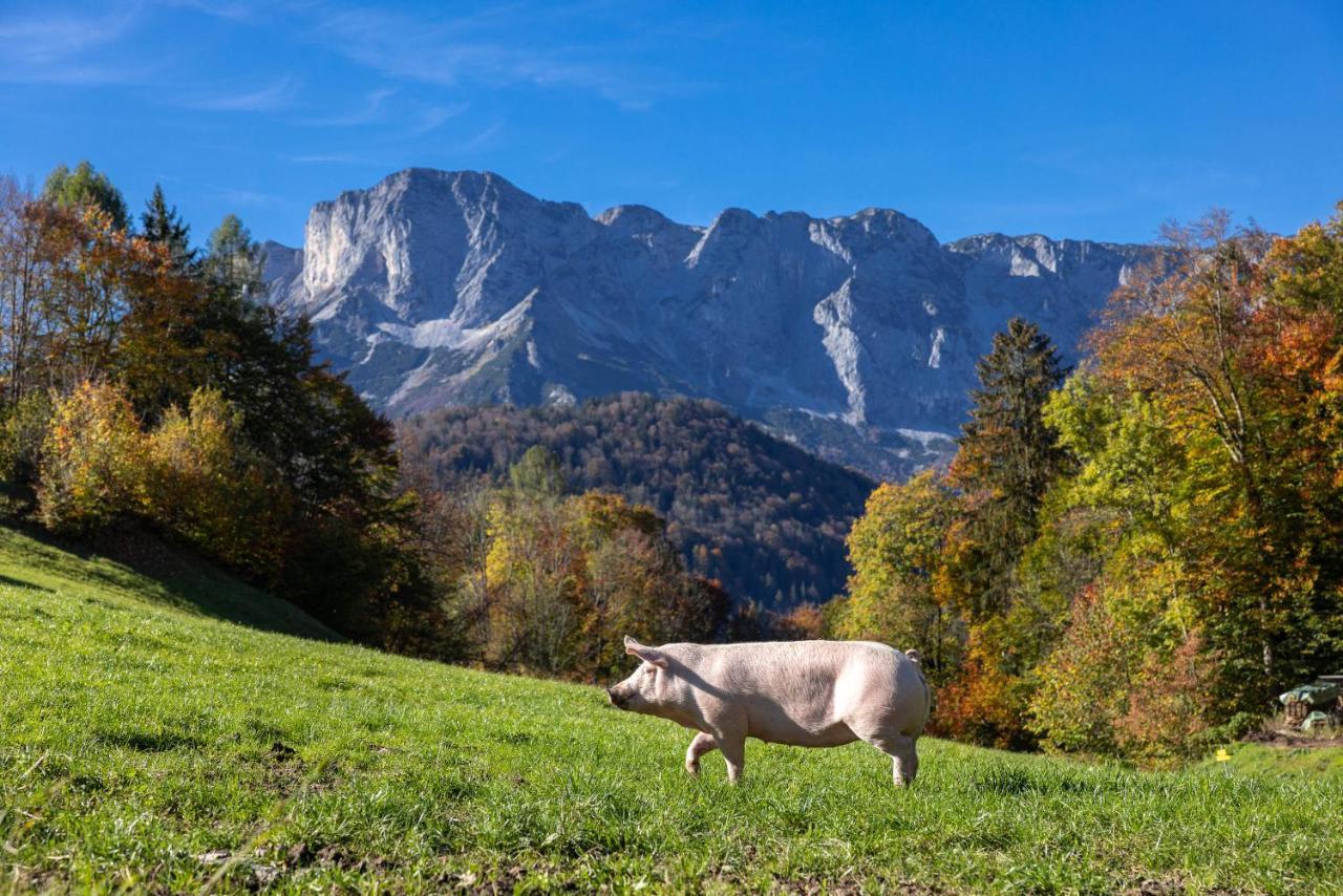 Ferienwohnungen Freidinglehen Марктшелленберг Экстерьер фото